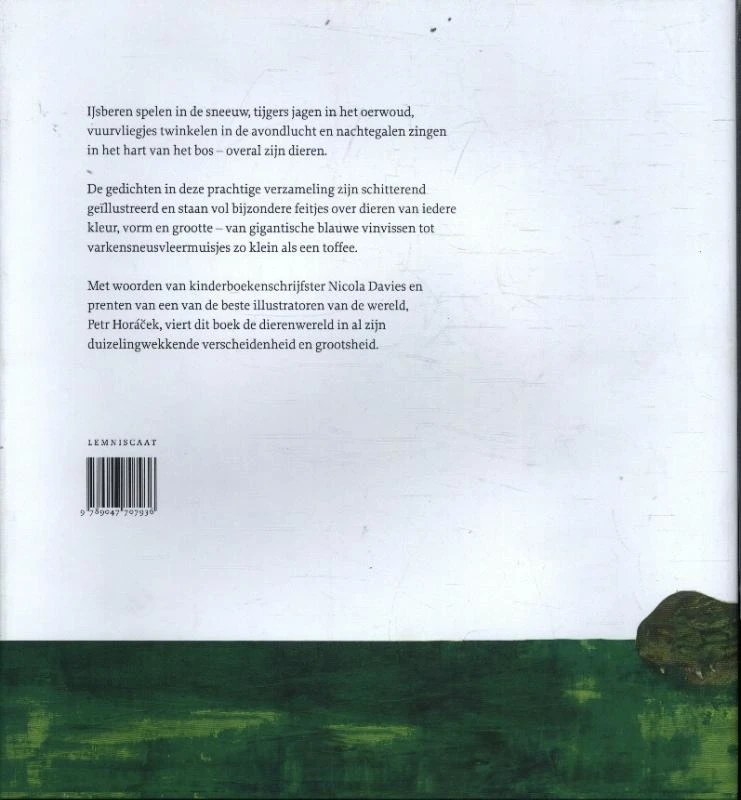 Lemniscaat Zo Mooi Zijn Dieren - Afbeelding 2