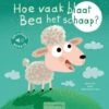 Clavis Hoe Vaak Blaat Bea Het Schaap?