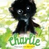 Clavis Charlie